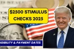 $2500 Stimulus Checks 2025