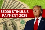 $5000 Stimulus Payment 202