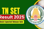 TN SET Result 2025